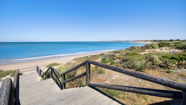 Una escalera de madera que conduce a una playa con una vista despejada del océano.