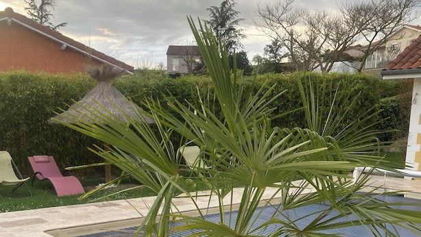 Un palmier en pot se trouve près d’une piscine, avec une terrasse carrelée et, en arrière-plan, une structure dotée d’un toit de chaume.