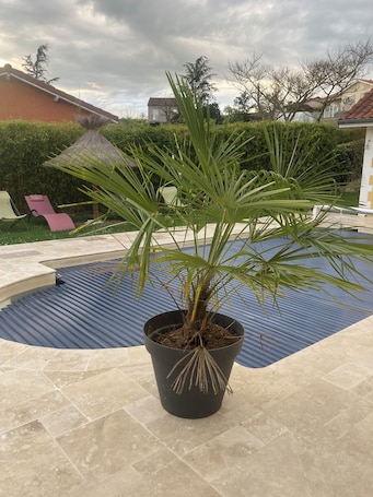 Enceinte de l’hébergement. La Villa Coisy : grande maison de 200m2 avec piscine