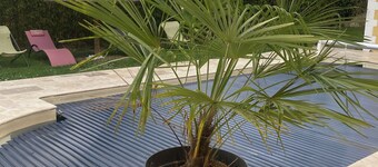 La Villa Coisy : grande maison de 200m2 avec piscine