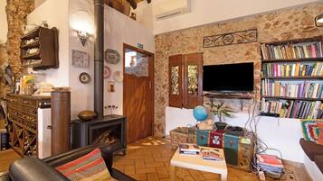 Televisión, chimenea y videojuegos