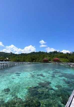 A clear blue sky, a wooden pier, and a forested hill in the background. - Vogelkopf Resort (Waisai)
