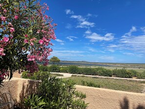 A garden with a view of a lake and distant hills. - Cozy little house by the lake (Fitou)