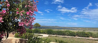 Cosy little house by the lake