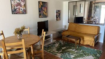 TV, DVD player, books