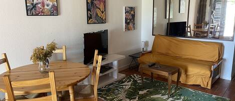 Una televisión, un reproductor de DVD, libros