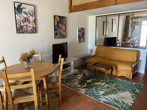 Télévision, lecteur de DVD, livres