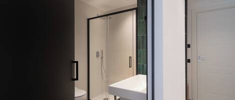 A modern bathroom with a glass shower enclosure, a white sink, and a toilet.