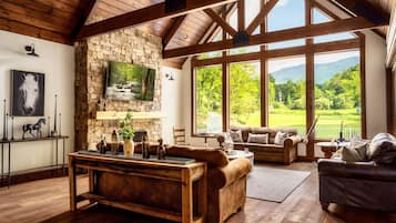 TV connectée, cheminée, lecteur de DVD, baby-foot