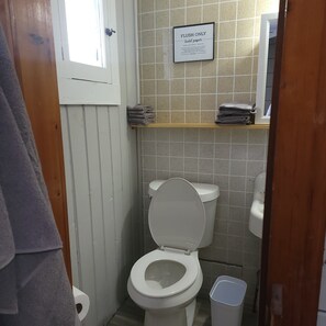 Shower, towels, soap, toilet paper