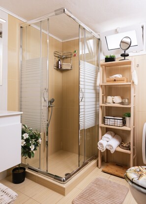 Douche, sèche-cheveux, serviettes fournies, papier toilette