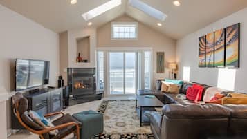 Smart TV, fireplace, books