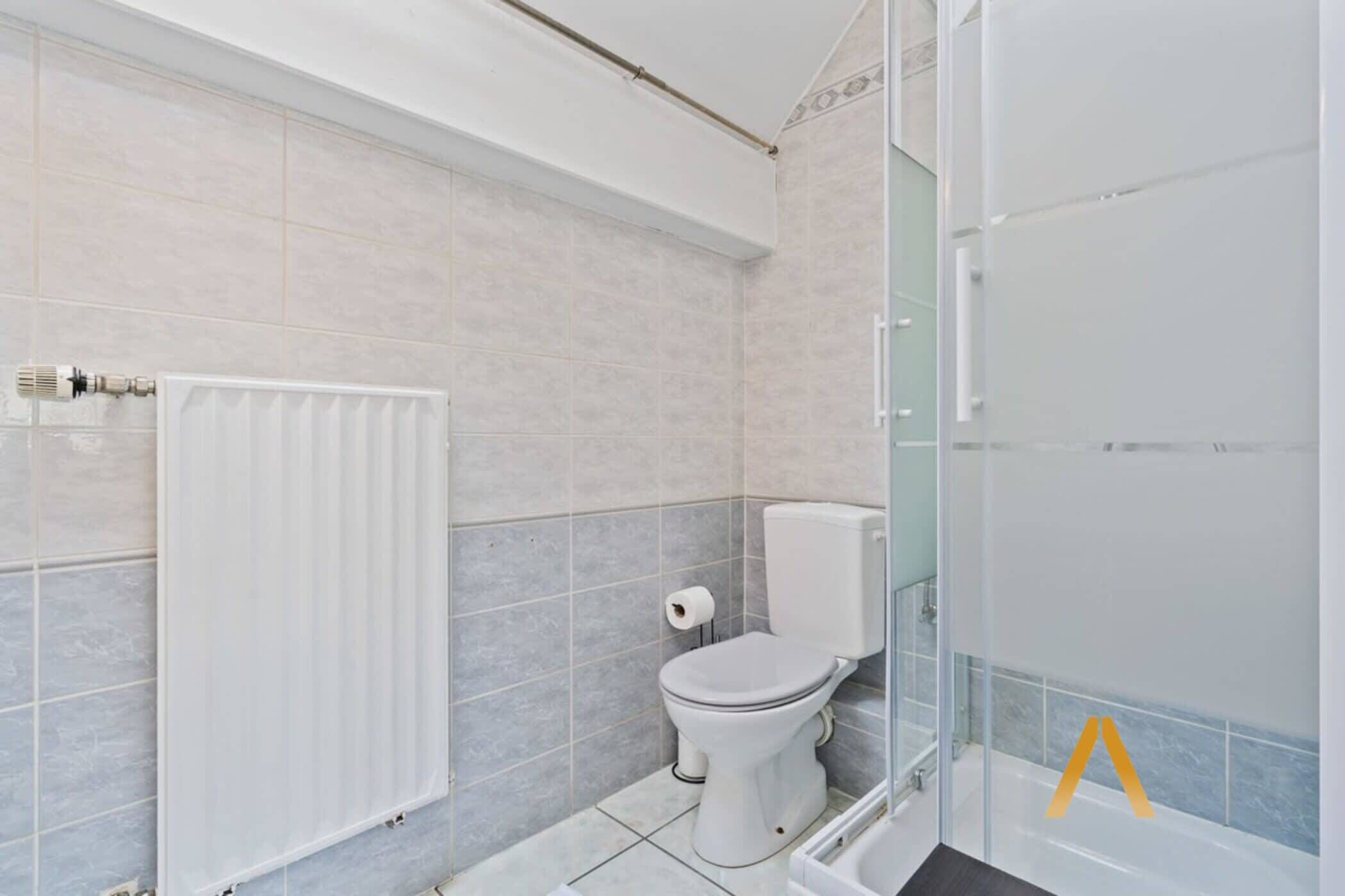 A bathroom with a toilet, shower, and radiator.