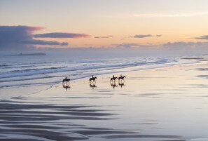 Playa
