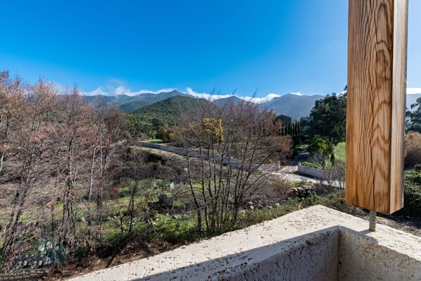 Vista de uma paisagem montanhosa com uma trilha de terra serpenteando por uma área arborizada.