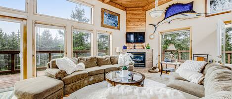 TV, peis, bøker og stereoanlegg