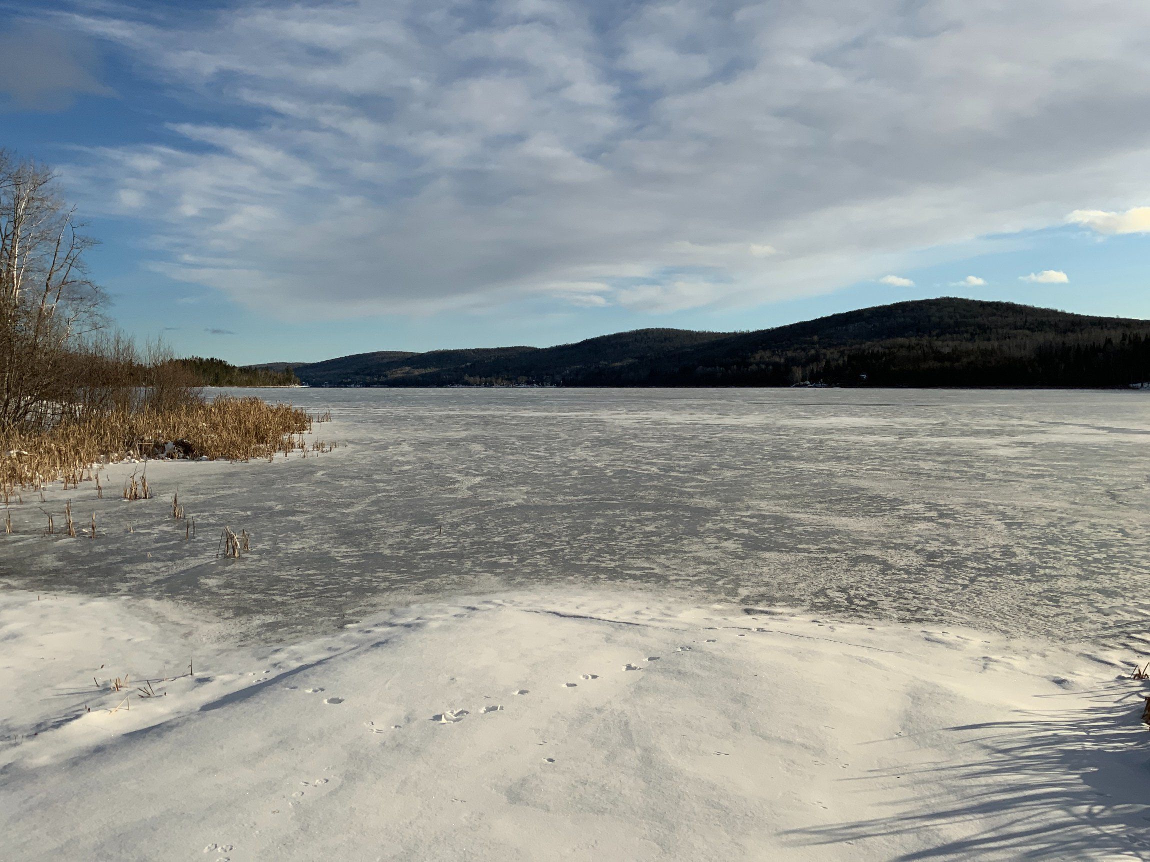 A frozen lake with snow-covered ground and sparse vegetation.