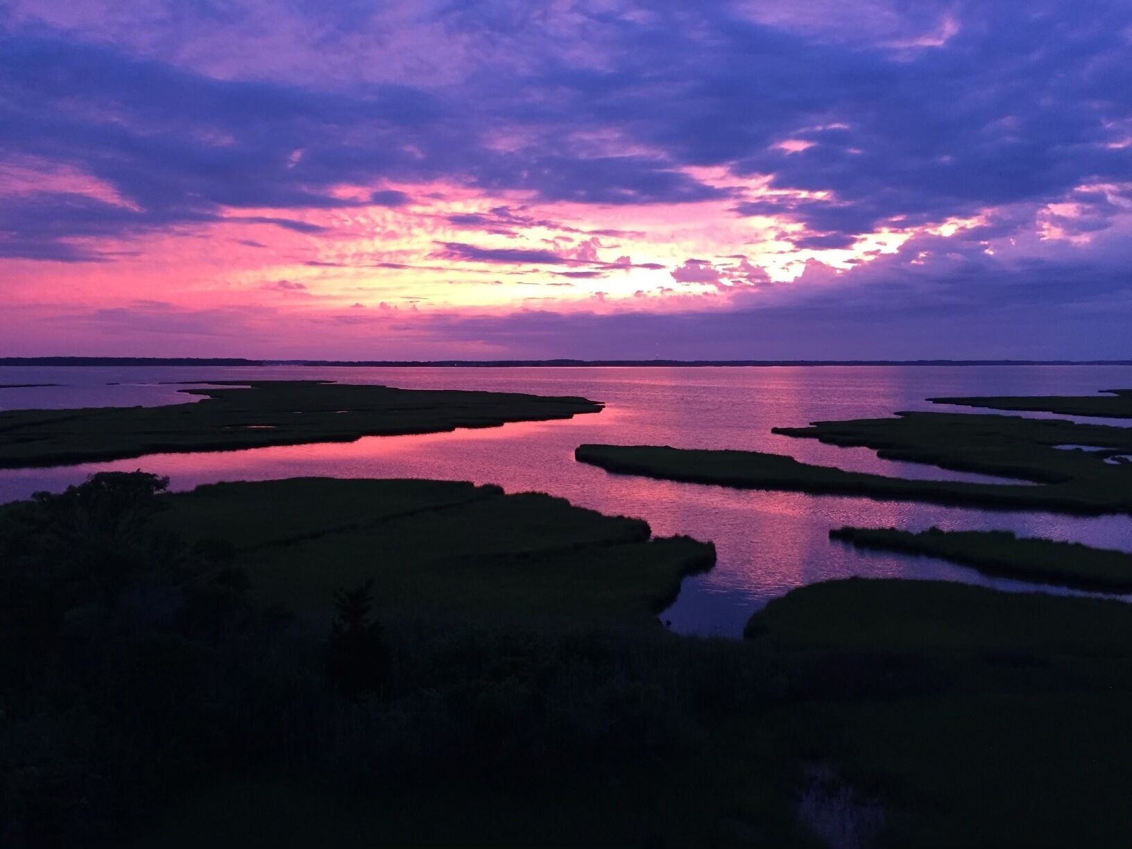 A sunset over a calm body of water with floating vegetation.