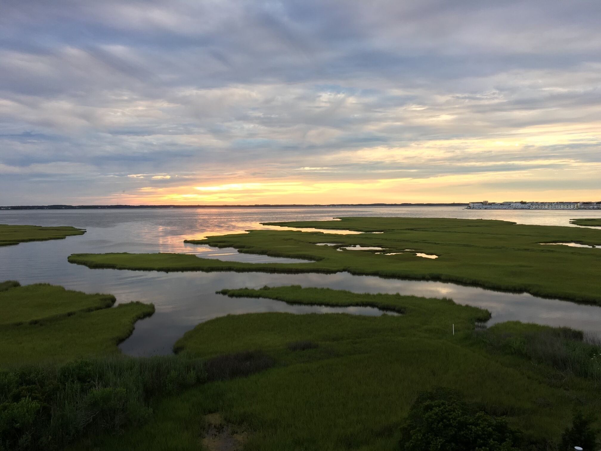 A marshland with water channels and a distant shoreline.