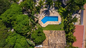 Vista aérea de una propiedad con piscina, abundante vegetación y techo de tejas.