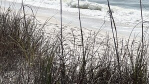 Una playa con olas y pastos altos al frente.