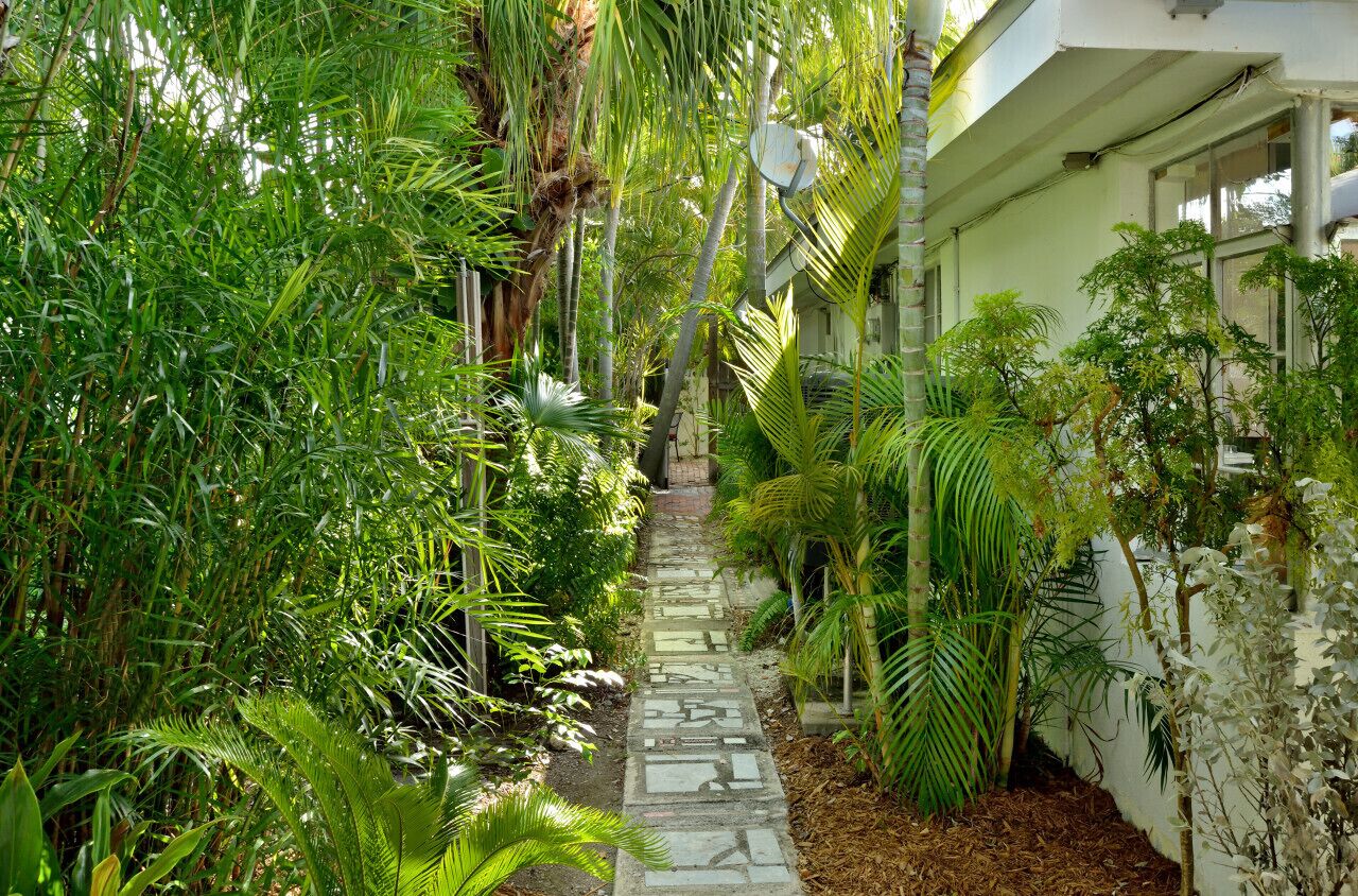 A narrow stone pathway flanked by lush tropical vegetation and a building with large windows.