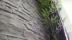 Un mur en pierre à la texture particulière, agrémenté de différentes plantes vertes et de fougères.