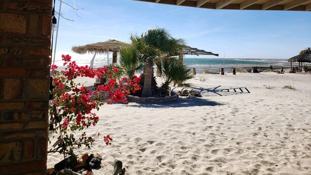 Vista de una playa con una pérgola de madera, palmeras y una cabaña de techo de paja.