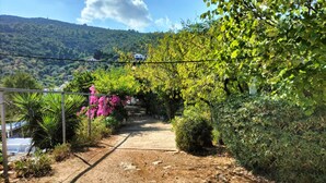 Un sentier de terre serpente à travers un jardin luxuriant, où l’on trouve diverses plantes, et une clôture métallique se dresse sur la gauche.