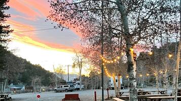 A campground with picnic tables, string lights, and a red bench.