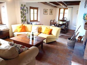 TV, fireplace, books