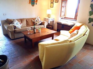 TV, fireplace, books