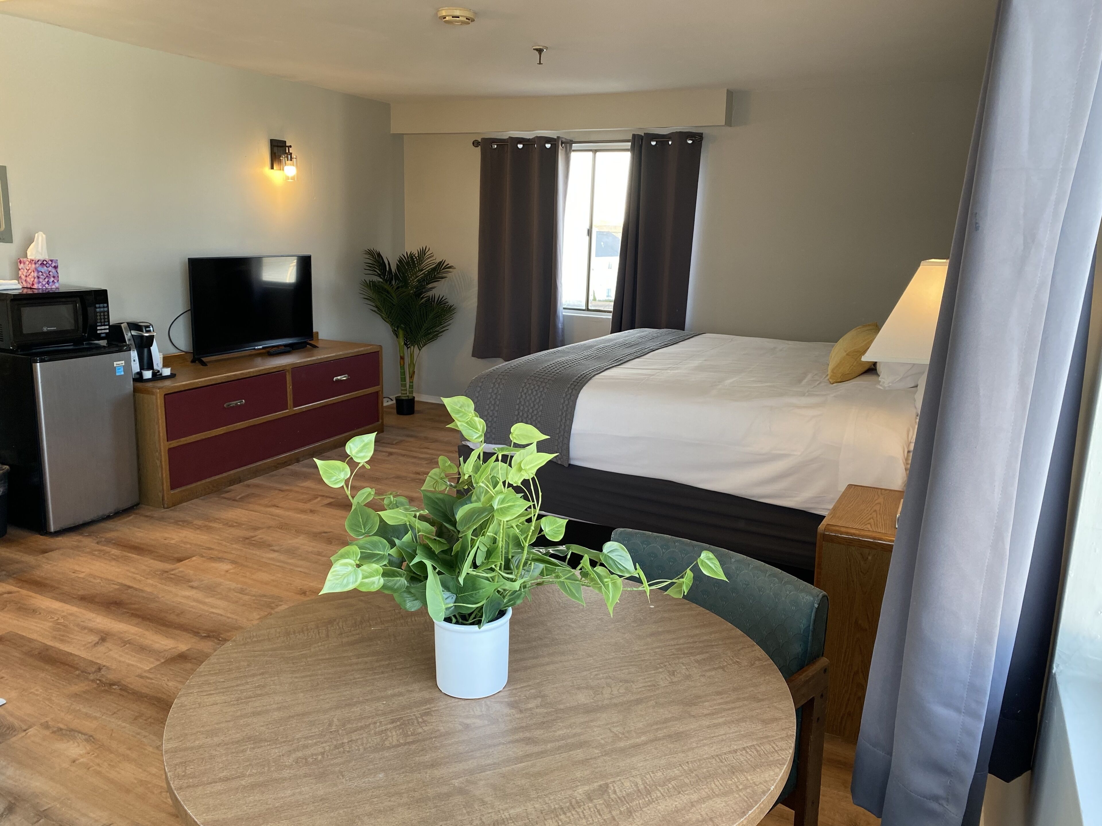 A hotel room with a bed, a TV, a small fridge, a desk with a plant, and a window with curtains.