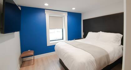 Suite #1 Boise Theme