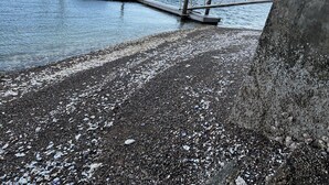 Ein Betonsteg erstreckt sich in einen See mit steinigem Ufer.