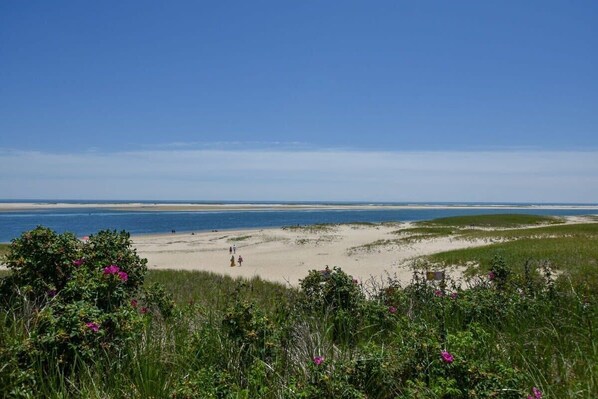 Playa en los alrededores 