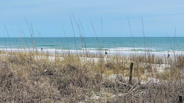 A beach with tall grasses in the foreground and a clear view of the ocean. - Great 7 BD walk to the beach + pool (North Myrtle Beach)