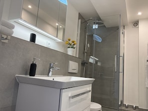 Shower, hair dryer