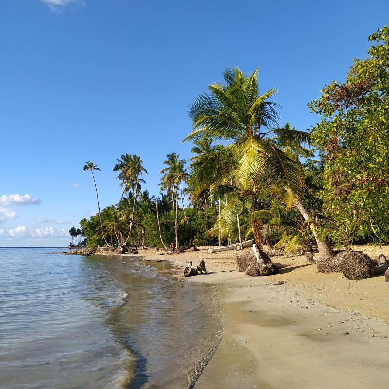Playa en los alrededores, camastros y toallas de playa 