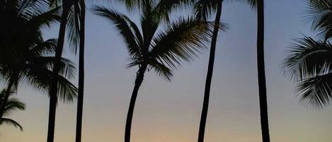 In Strandnähe, Liegestühle, Strandtücher