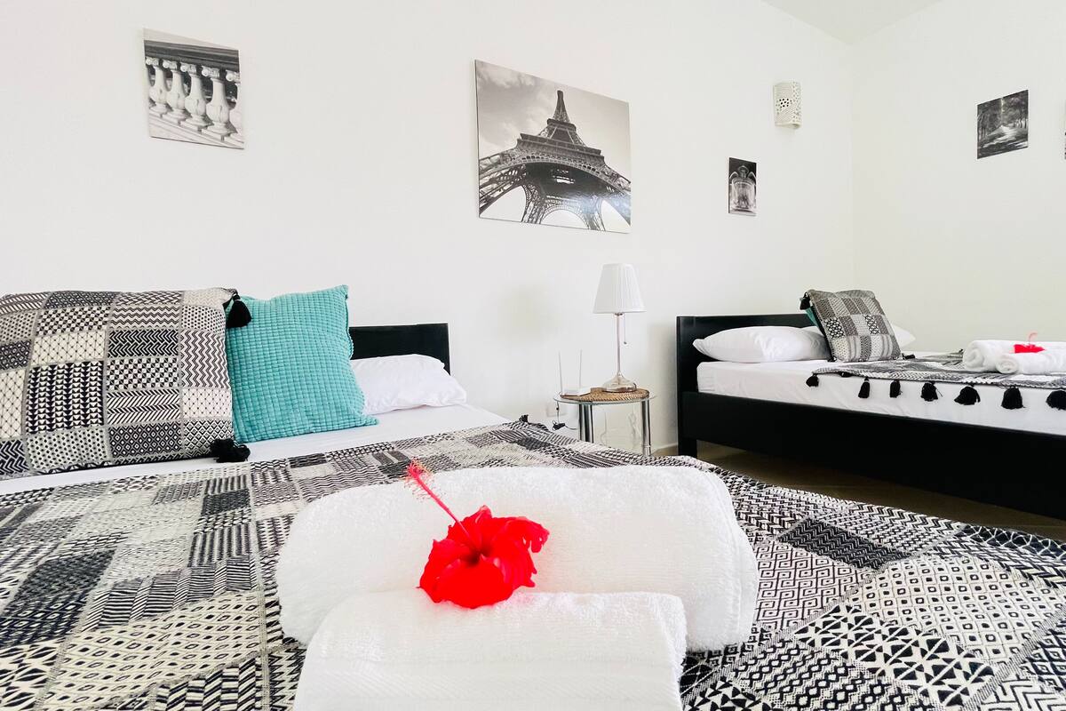 A hotel room with two beds, patterned bedding, a red flower, and Eiffel Tower posters on the wall.