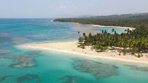 An aerial view of a beach with clear turquoise waters, a sandy shore, and a line of palm trees. - Solaz Boutique Hotel (Las Terrenas)