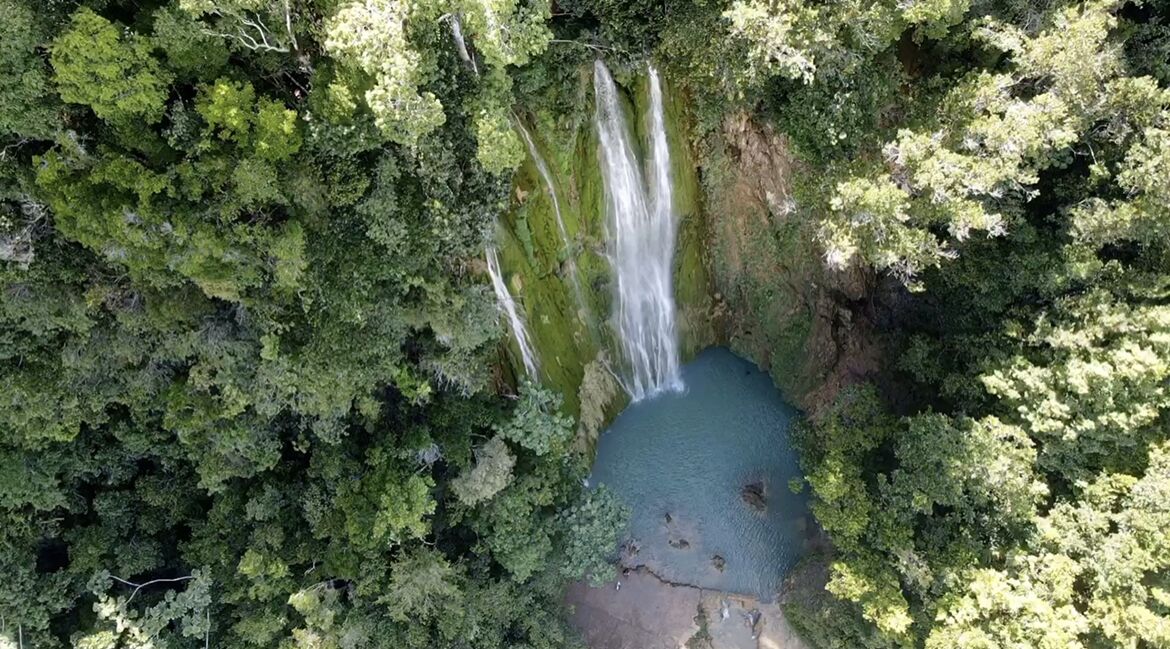 Een waterval stort in een zwembad, omgeven door dicht bos.
