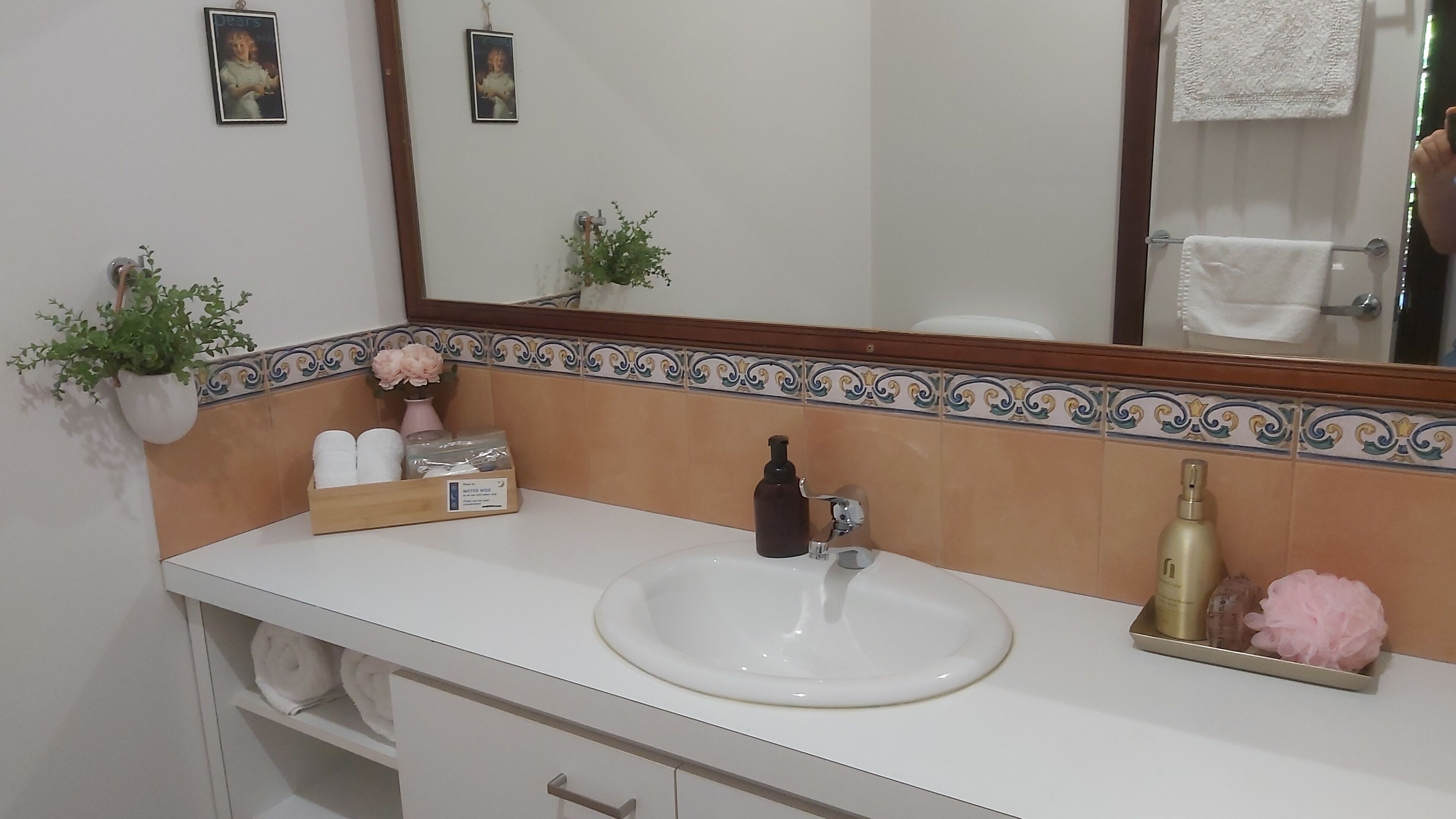 A bathroom with a white sink, a mirror, and a decorative tile border. There are two potted plants, a bottle of shampoo, and a container of toiletries on the counter.