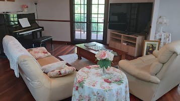 Smart TV, fireplace, DVD player, books