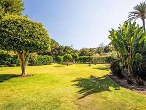 A well-maintained garden with a variety of trees and shrubs, a clear sky, and a neatly trimmed lawn.