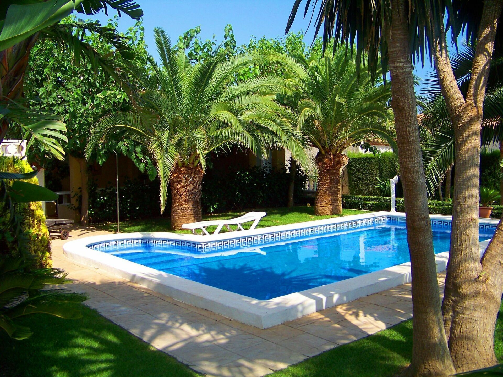 Una piscina con un diseño geométrico de azulejos, rodeada de palmeras y abundante vegetación.