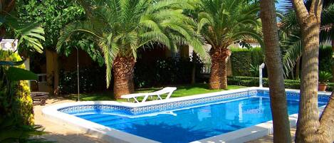Una piscina con un diseño geométrico de azulejos, rodeada de palmeras y abundante vegetación.