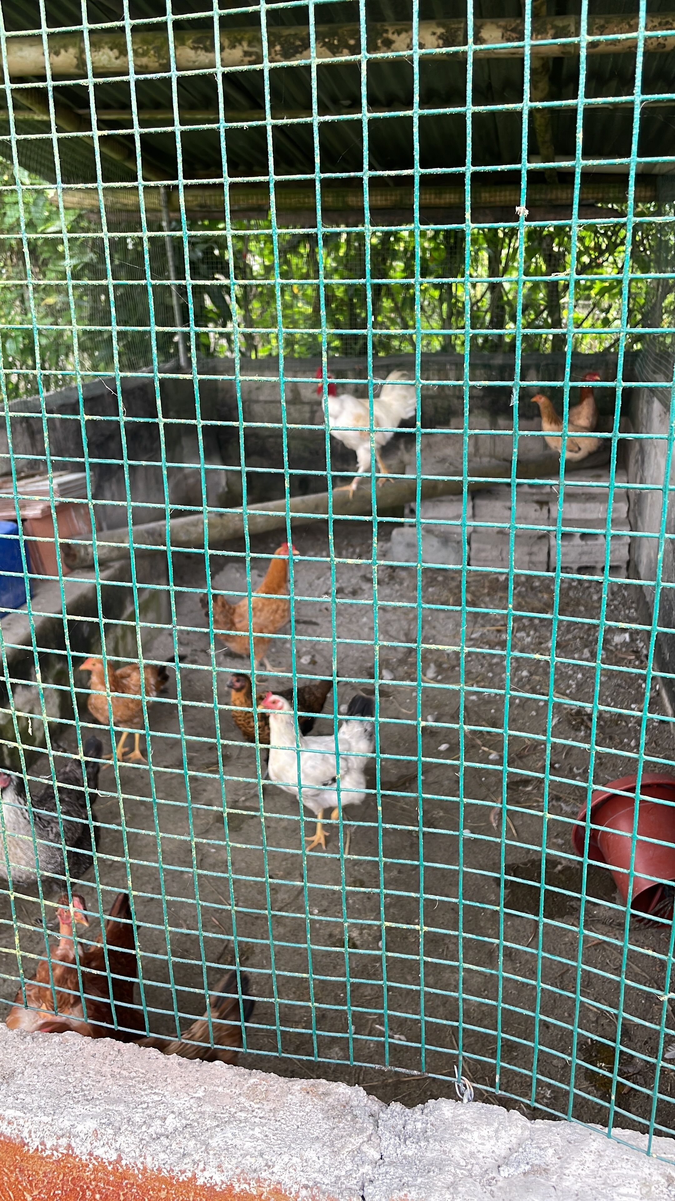 Ensemble douche/baignoire, sèche-cheveux, serviettes fournies, savon
