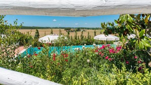 A view of a garden with a pool, surrounded by greenery and a clear sky.